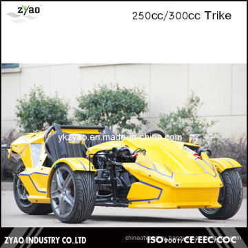 EEC 250cc Trike Трехколесный велосипед для взрослых Ztr Trike 250cc Trike Kit